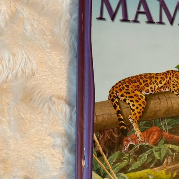 100 Things you Should Know About Mammals by J Johnson 2006 Hardcover Book - Picture 5 of 6